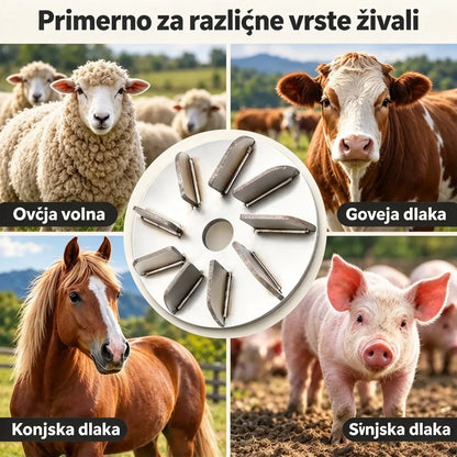 🔧🪚 Plošča iz nerjavnega jekla za odstranjevanje dlak (za kotni brusilnik) | Plošča za odstranjevanje dlak ter čiščenje in obdelavo svinjine, jagnjetine in teletine